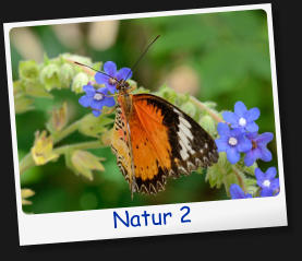 Natur 2