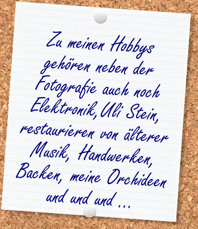 Zu meinen Hobbys gehren neben der Fotografie auch noch Elektronik,Uli Stein, restaurieren von lterer Musik, Handwerken, Backen, meine Orchideen und und und ...